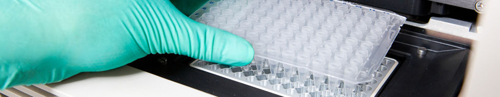 Growth opportunities at a cutting edge Institute