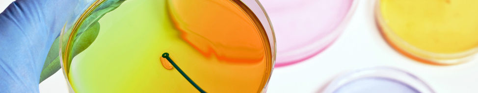 Unravelling the mysteries of biological systems