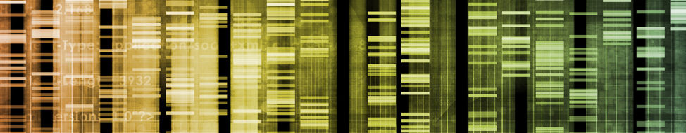 Understanding genome function in health and disease